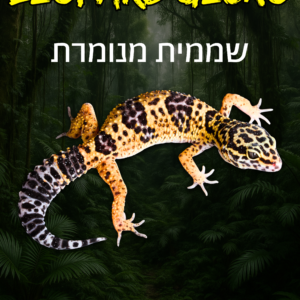 שממית מנומרת נורמאל + טרריום וערכת גידול