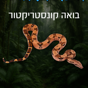 בואה קונסטריקטור + טרריום וערכת גידול