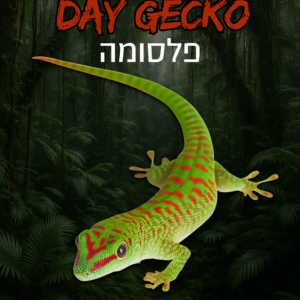 פלסומה + טרריום וערכת גידול