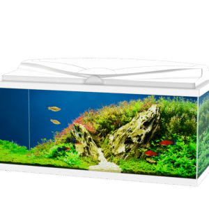 אקווריום CIANO Aqua 80