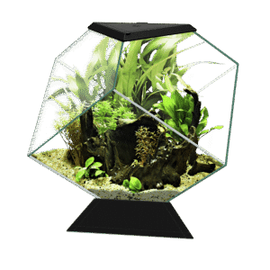 אקווריום CIANO Nexus Pure 14C