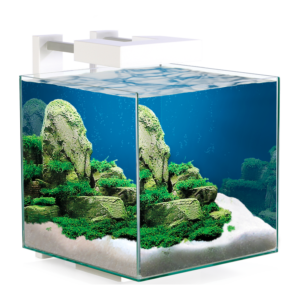 אקווריום CIANO Nexus Pure 15