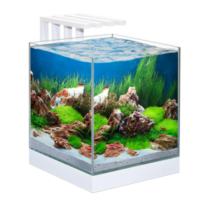 אקווריום CIANO Nexus Pure 25