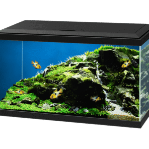 אקווריום CIANO Aqua 60