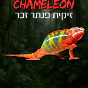 זיקית פנתר זכר + טרריום וערכת גידול