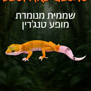 שממית מנומרת מופעי פרימיום + טרריום וערכת גידול