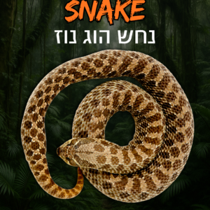 נחש הוג נוז + טרריום וערכת גידול