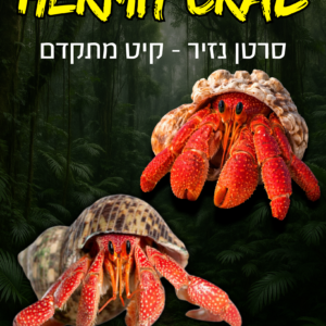 סרטן נזיר + ערכת גידול מתקדמת (2 סרטנים)