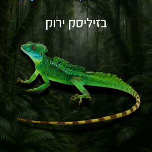 בזיליסק ירוק + טרריום ערכת גידול