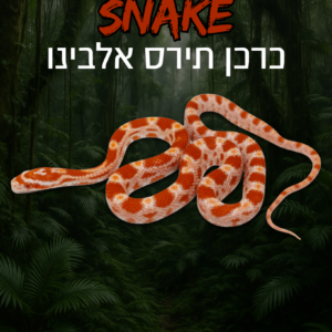 כרכן תירס אלבינו + טרריום וערכת גידול
